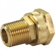 Brass Male Pipe Connector 1/2