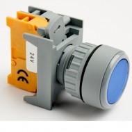 Pushbutton Momentary Switch 22mm Blue with LED Lamp