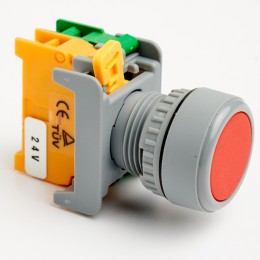 Pushbutton Momentary Switch 22mm Red with LED Lamp